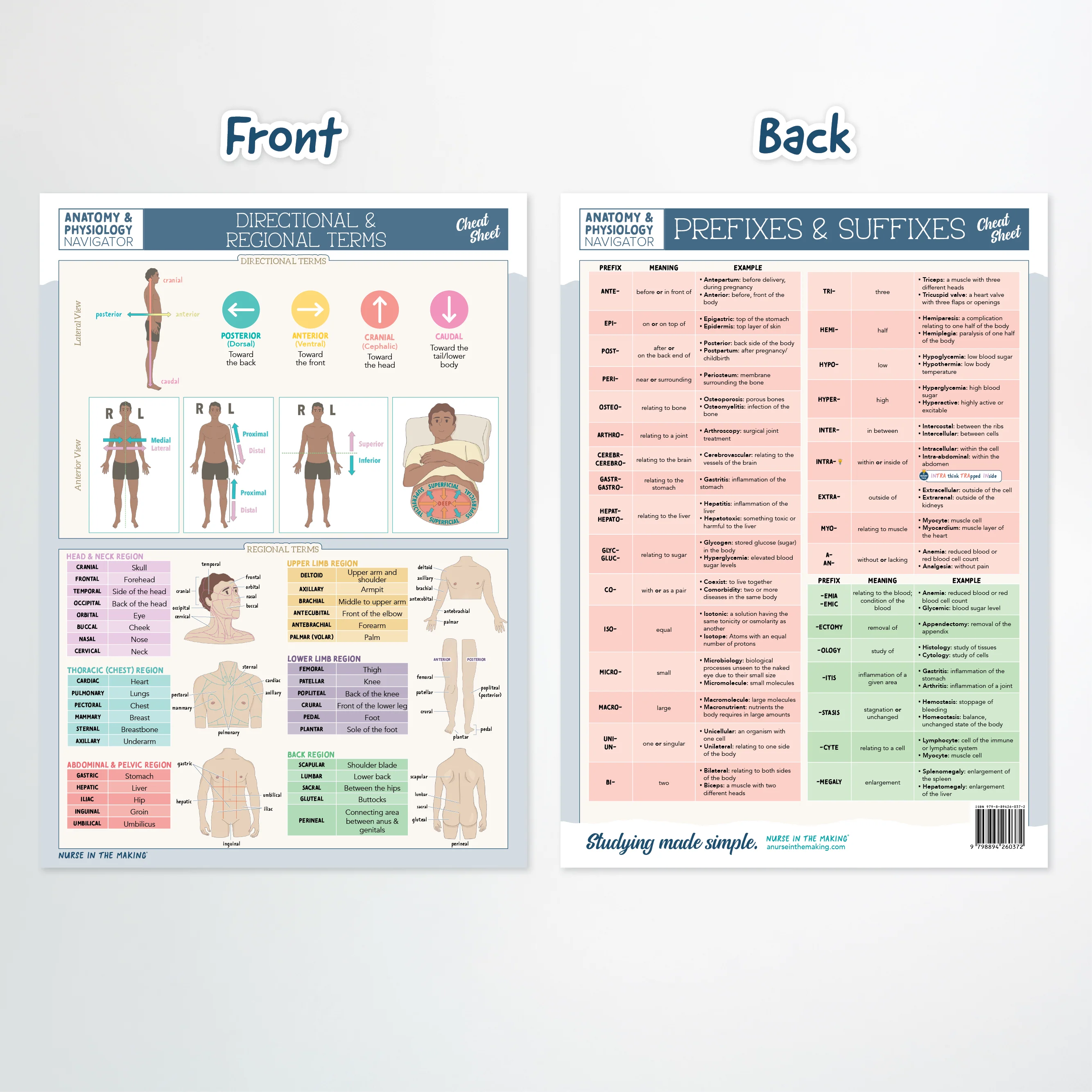 Anatomy & Physiology Navigator Kit™ - Image 3