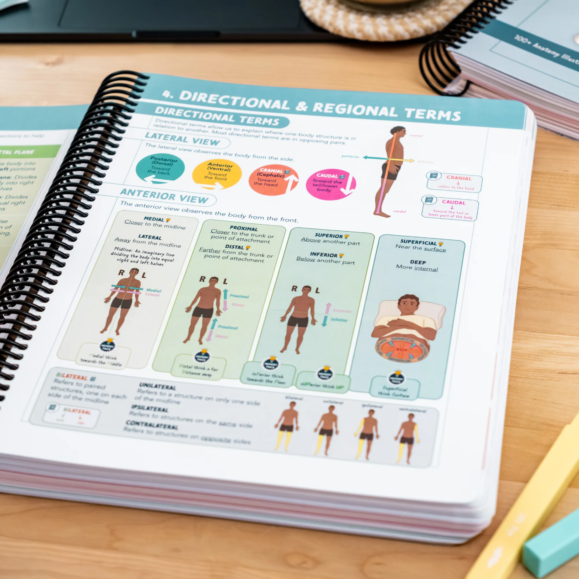 Anatomy & Physiology Navigator - Image 3