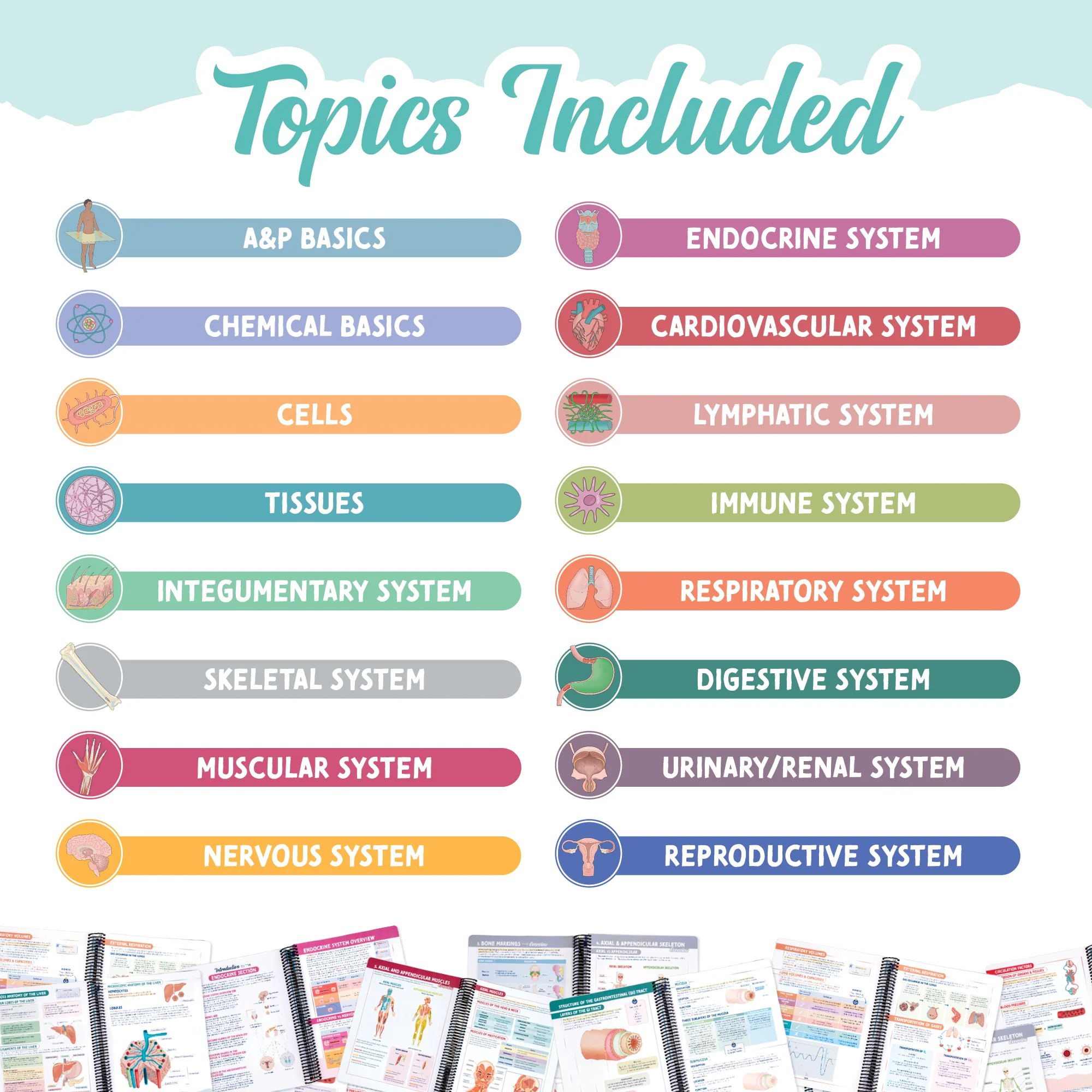 Anatomy & Physiology Navigator - Image 5