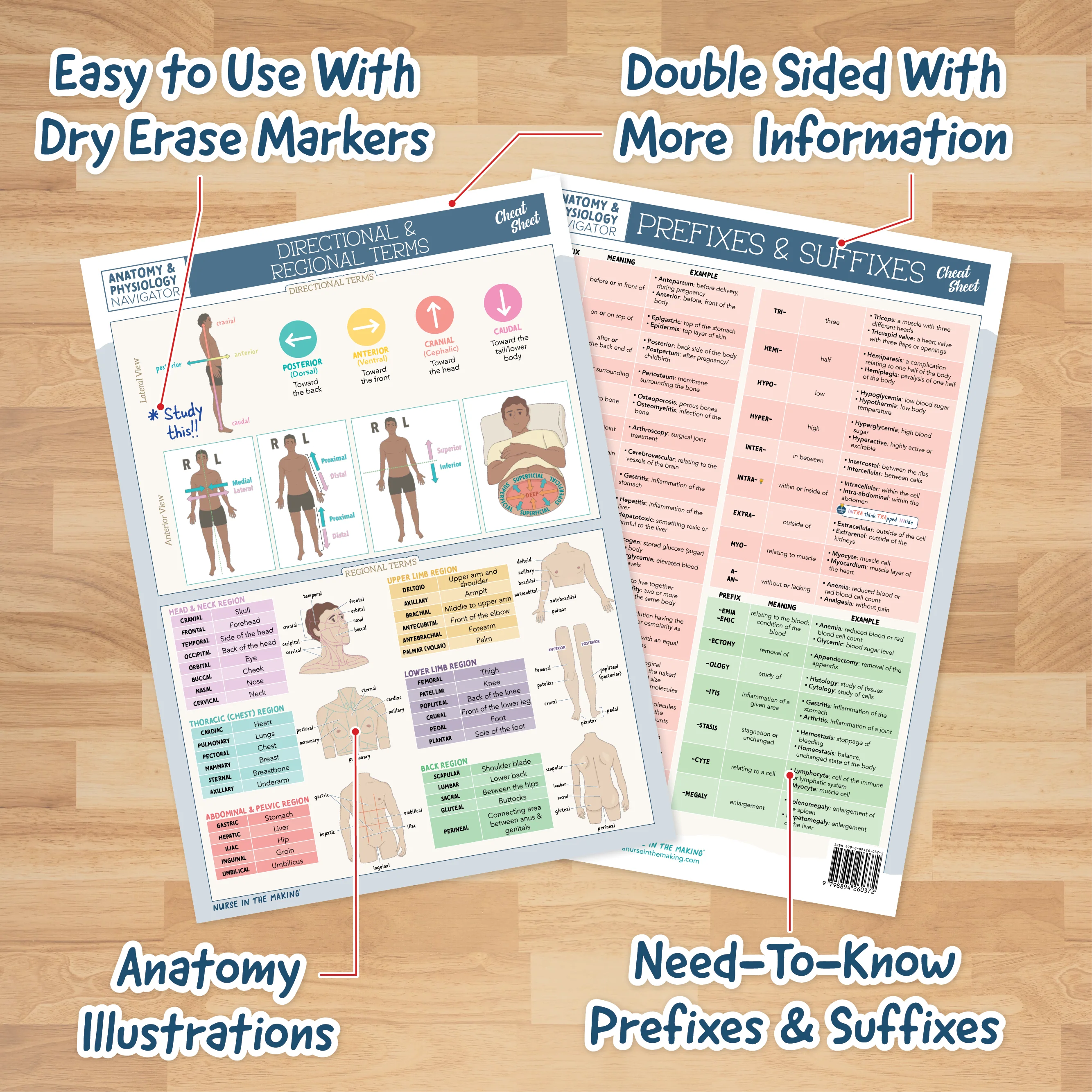 Anatomy & Physiology Navigator Cheat Sheets - Image 3