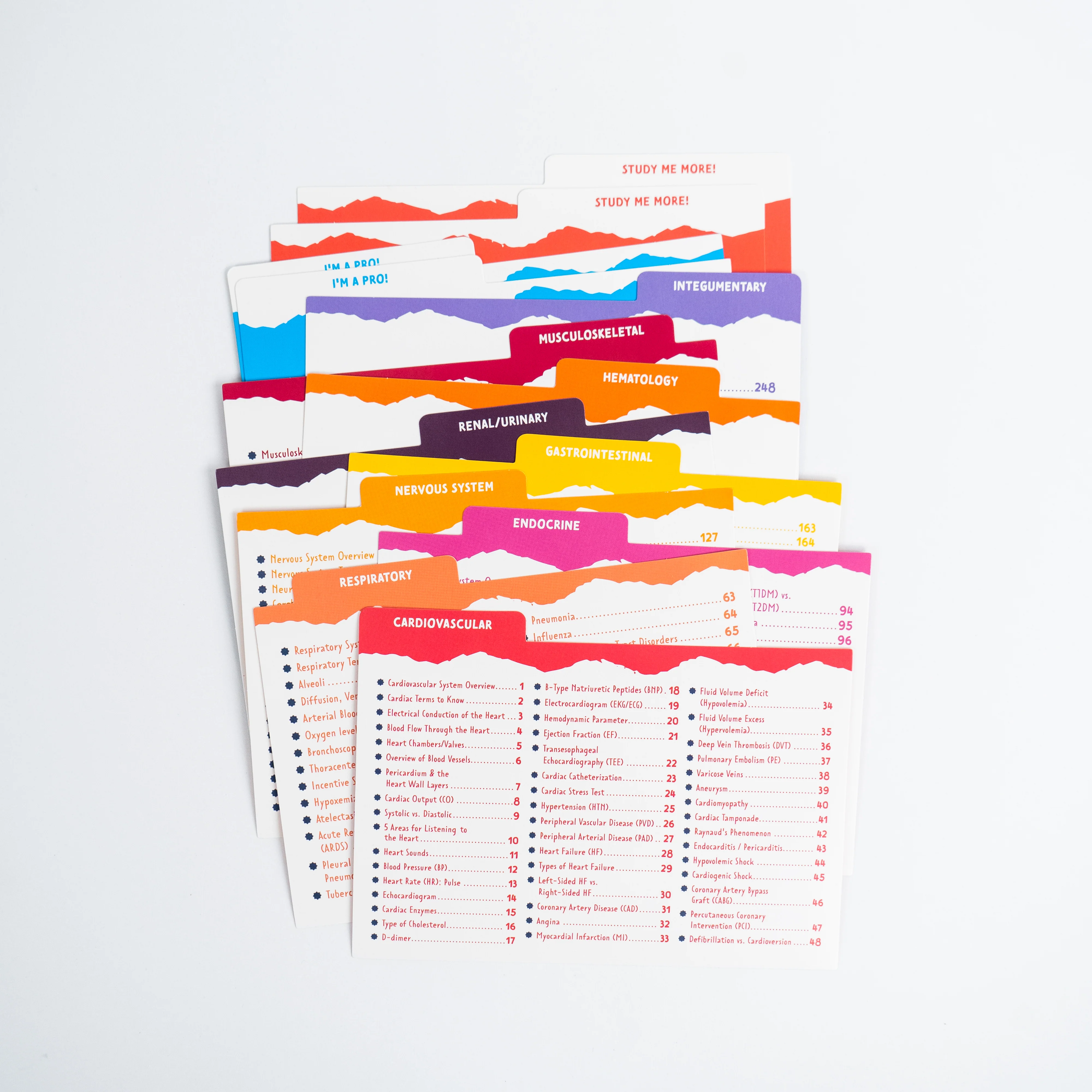 Flashcard Dividers - Image 3