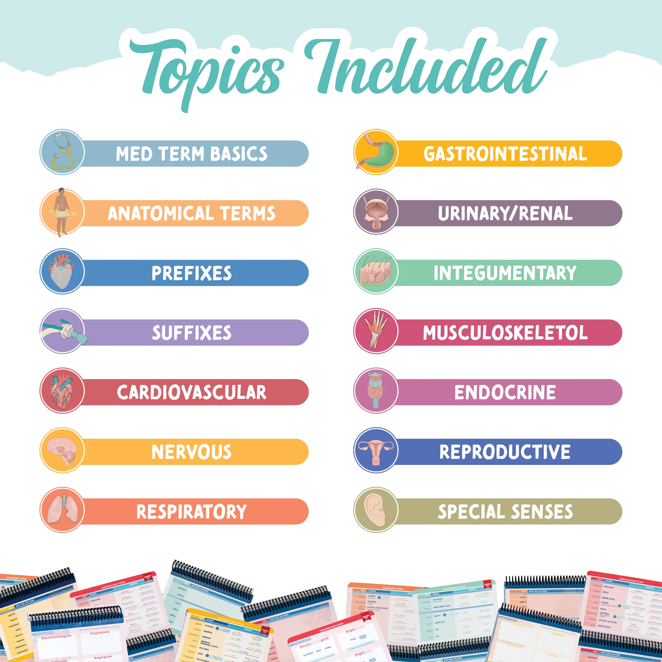 Medical Terminology Label Lab - Image 6