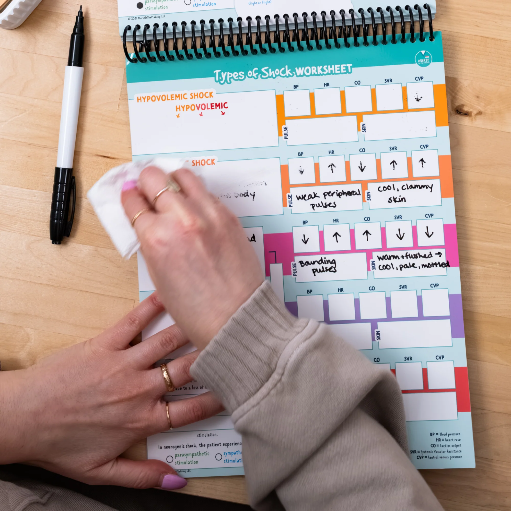 Laminated Study Templates - Image 4
