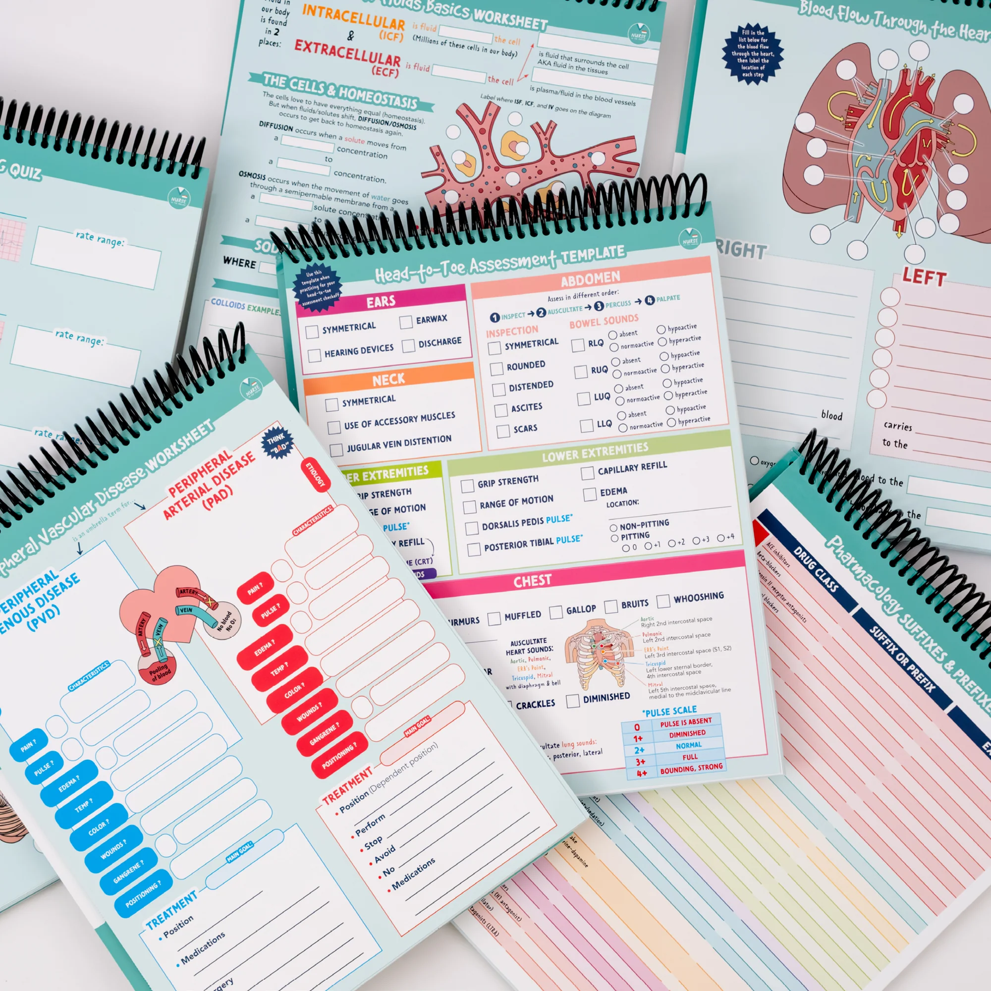 Laminated Study Templates - Image 7
