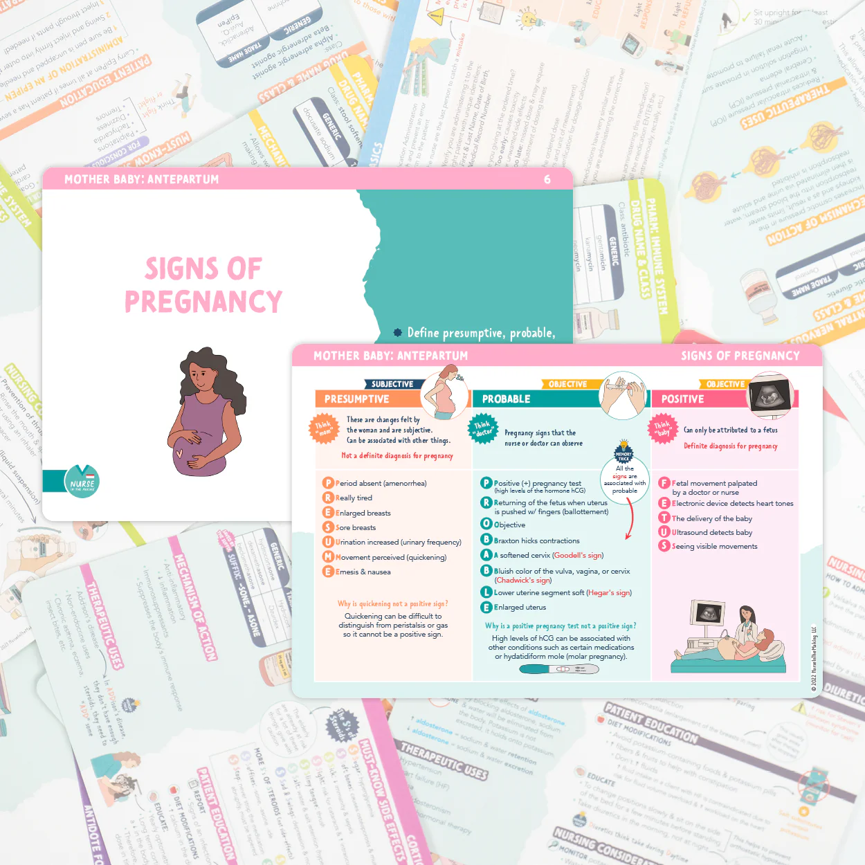 Mother Baby Flashcards - Image 3