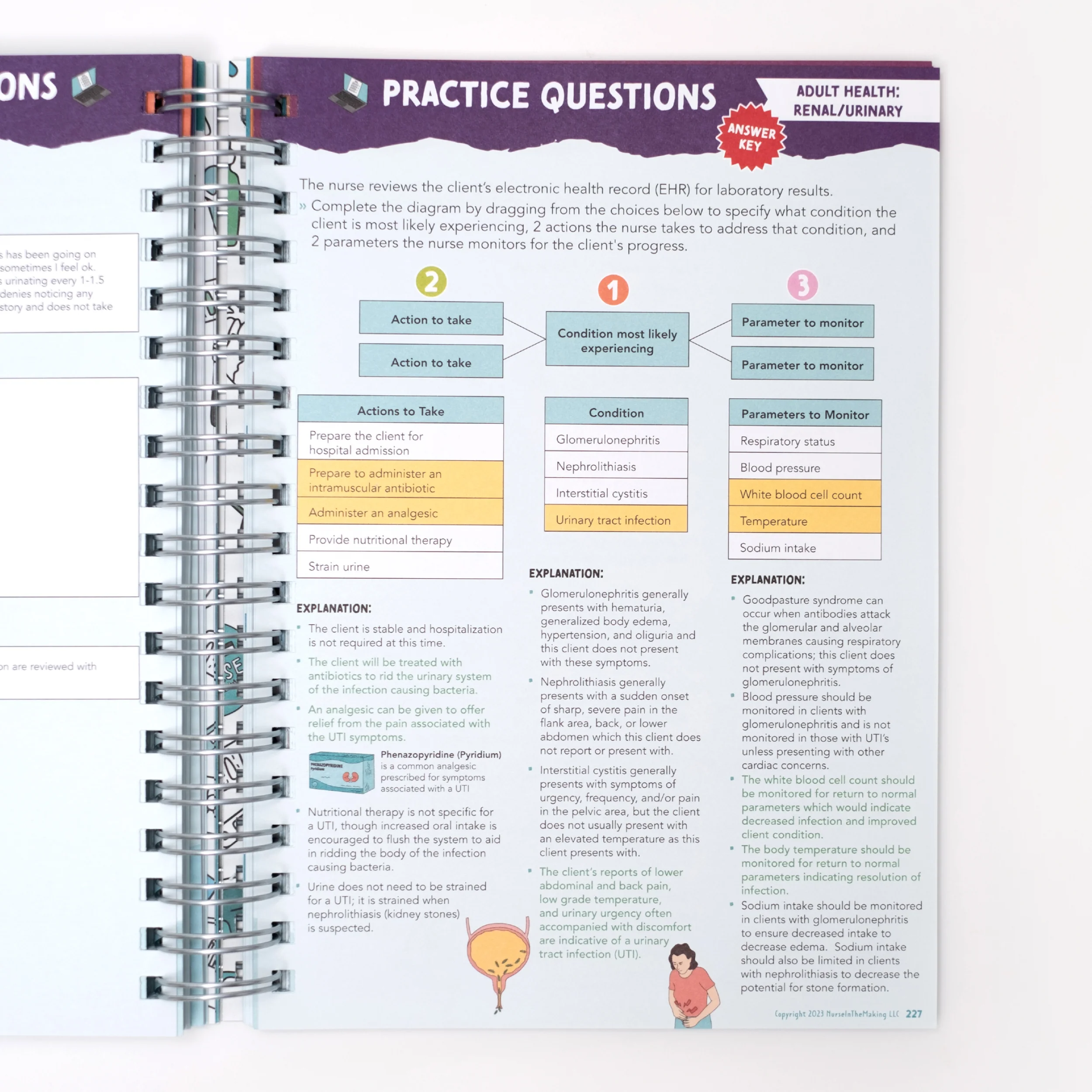 NCLEX Study Notebook - Image 3