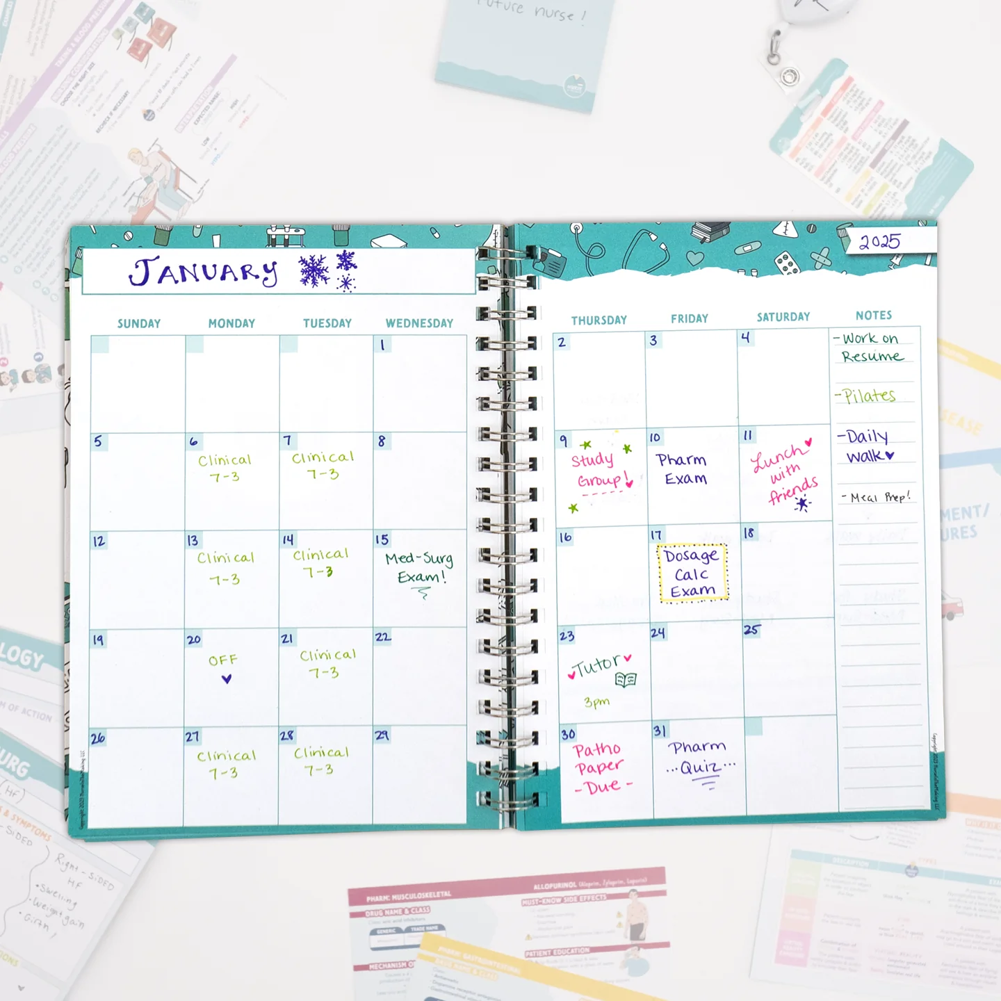The Complete Nursing School Planner - Image 3
