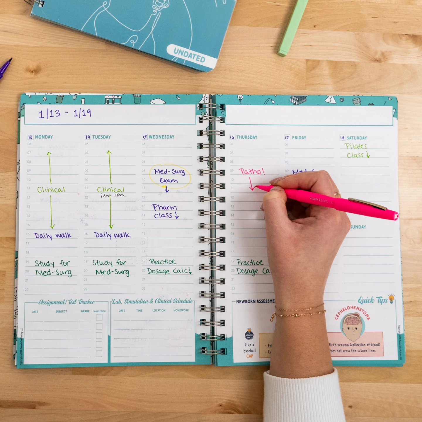The Complete Nursing School Planner - Image 4