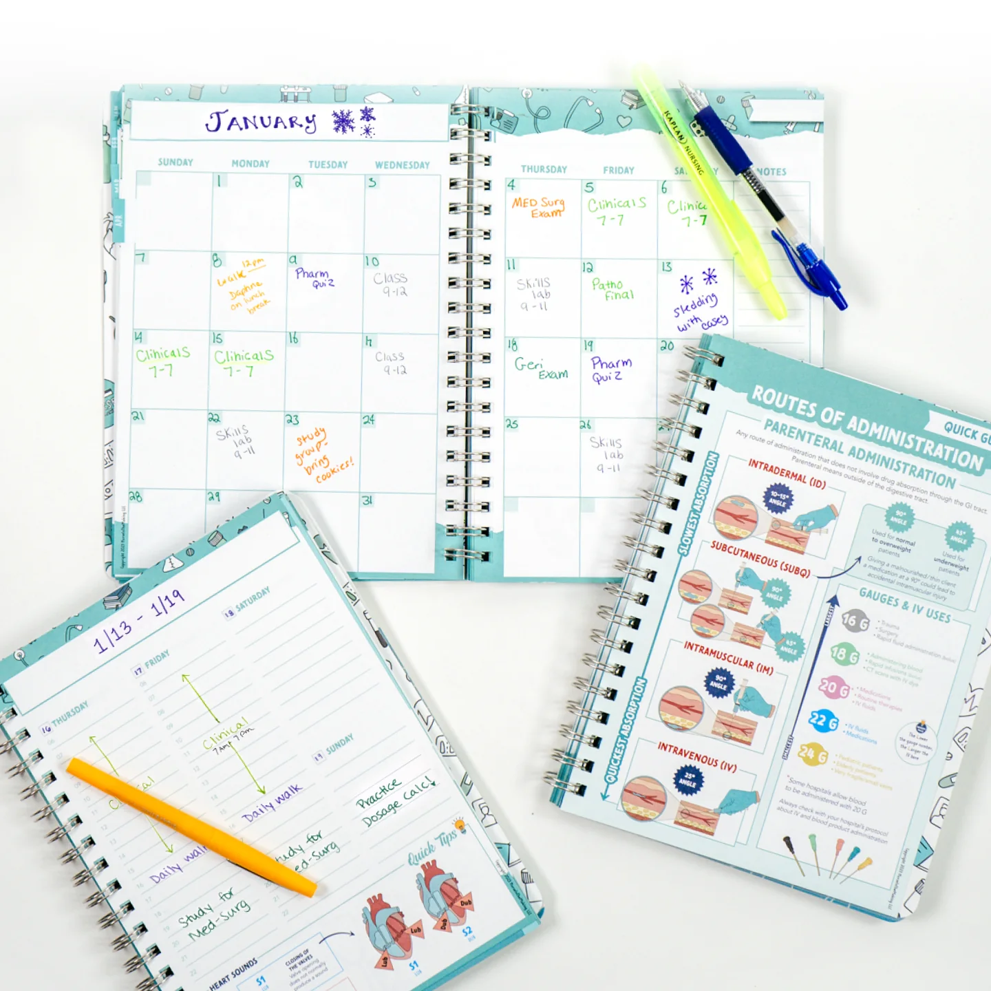 The Complete Nursing School Planner - Image 6